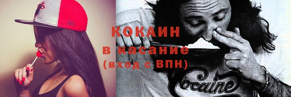 PSILOCYBIN Рославль