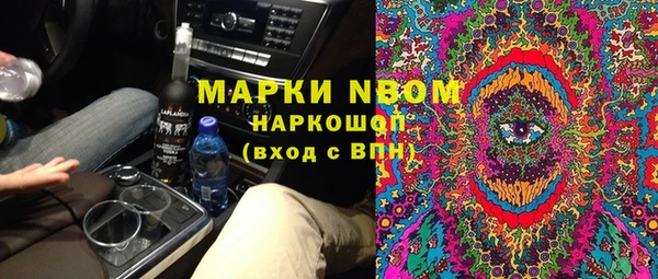 PSILOCYBIN Рославль