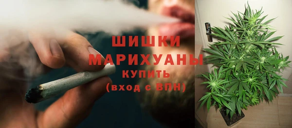 PSILOCYBIN Рославль
