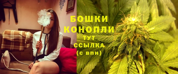 PSILOCYBIN Рославль