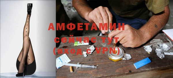 PSILOCYBIN Рославль
