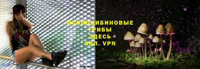 наркотики  сайты даркнета официальный сайт  Галлюциногенные грибы MAGIC MUSHROOMS  Абинск 