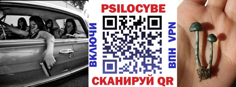Псилоцибиновые грибы Psilocybe  Абинск 