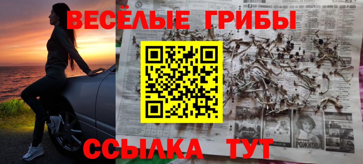 закладки  Галлюциногенные грибы мухоморы  Абинск  Псилоцибиновые грибы GOLDEN TEACHER 